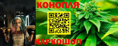 мяу мяу мука Рязань