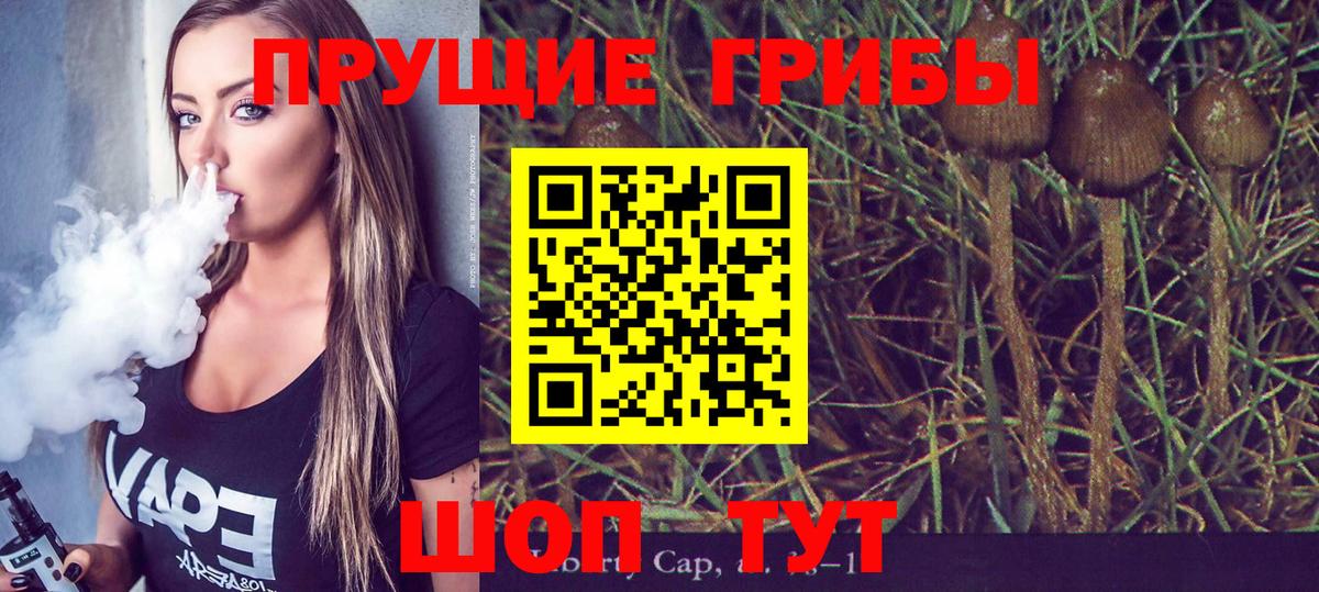 Псилоцибиновые грибы ЛСД Реутов
